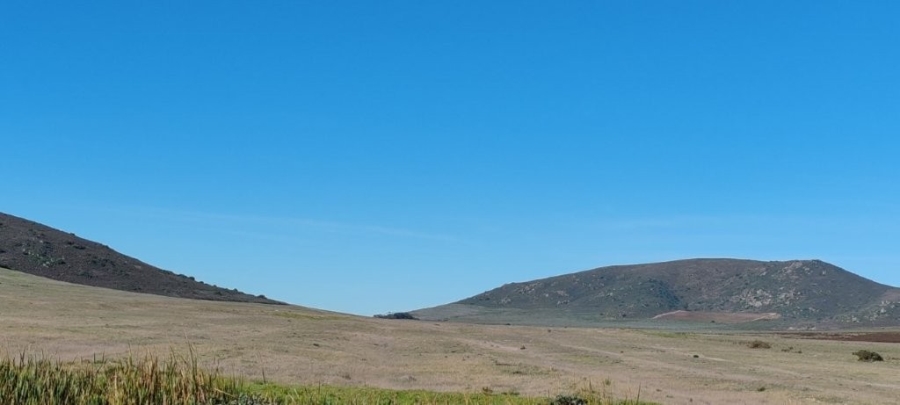 0 Bedroom Property for Sale in Darling Western Cape